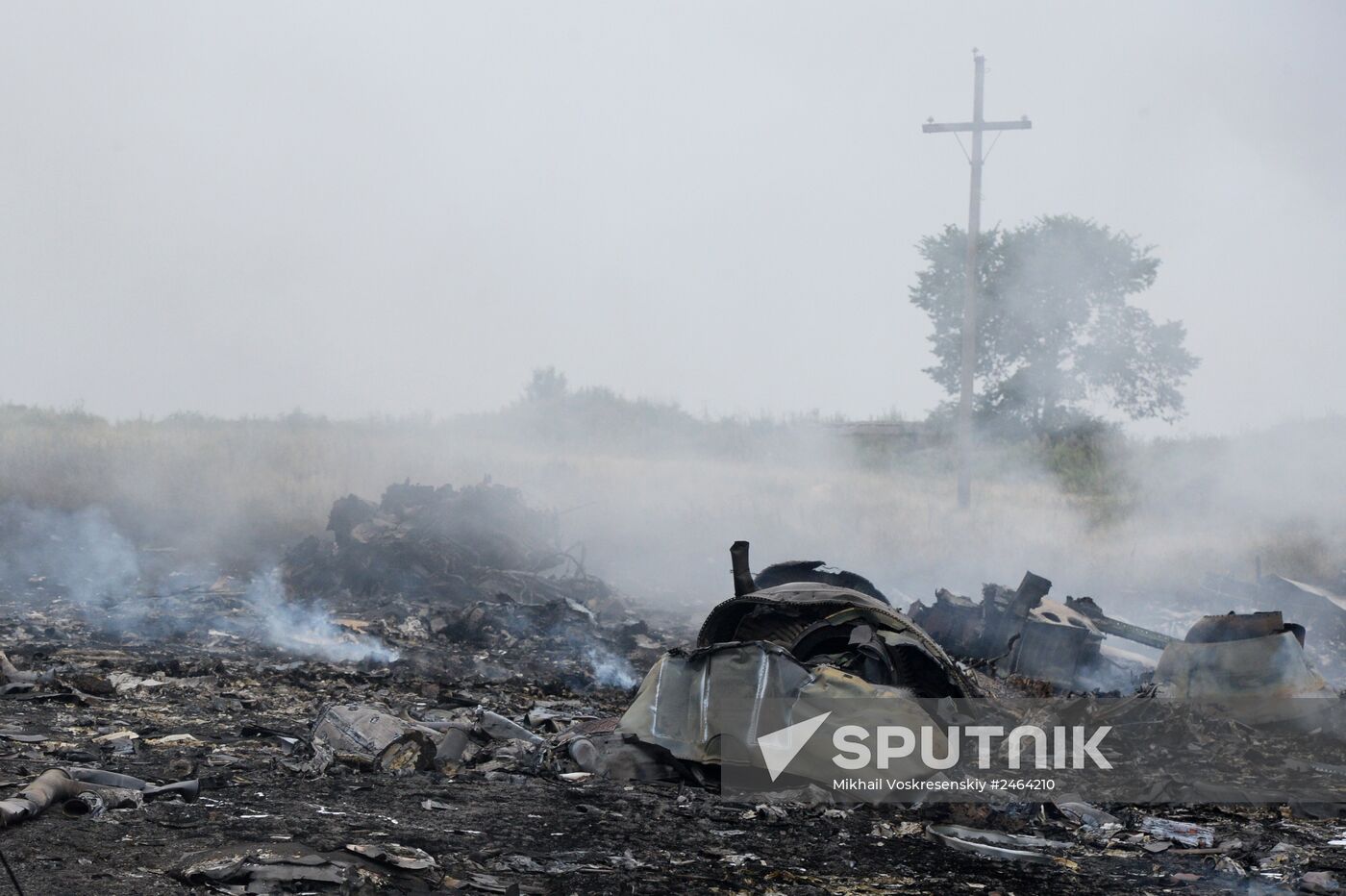 Malaysian Boeing crashes in Ukraine