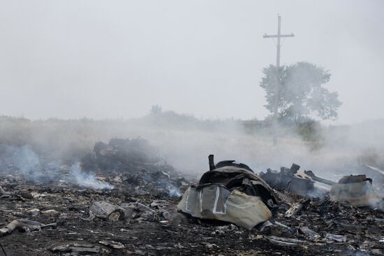 Malaysian Boeing crashes in Ukraine