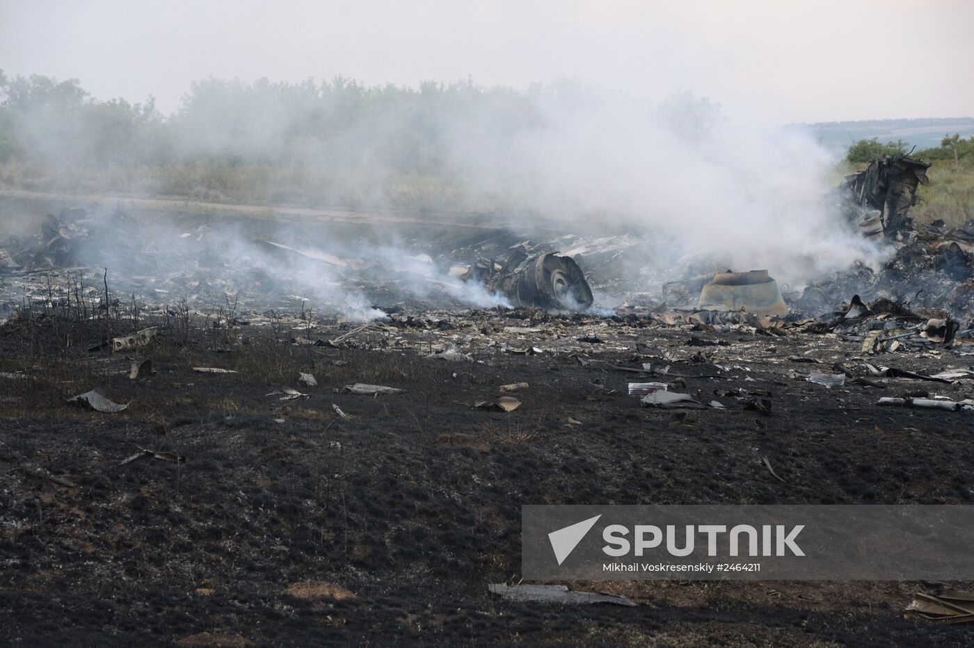 Malaysian Boeing crashes in Ukraine