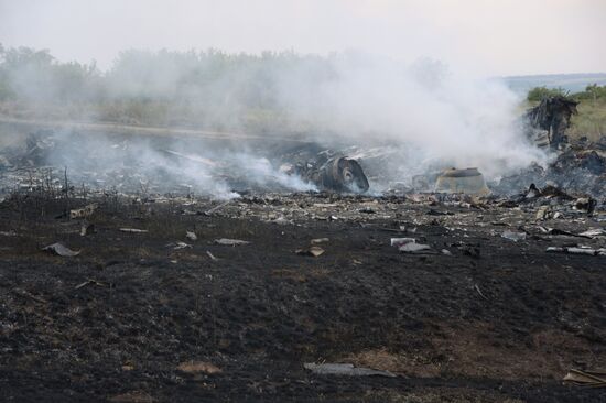 Malaysian Boeing crashes in Ukraine