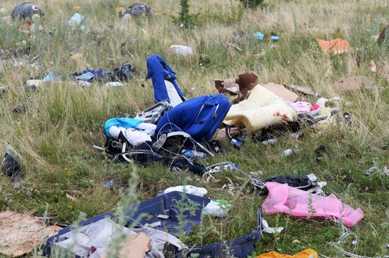 Malaysian Boeing crashes in Ukraine