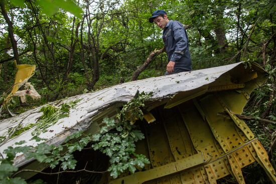 Crash site of Malaysia Airlines flight MH17 near Shaktyorsk