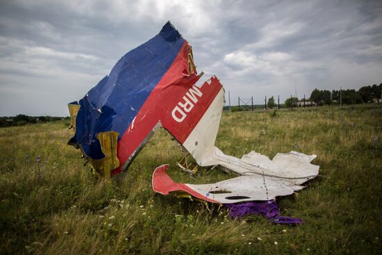 Crash site of Malaysia Airlines flight MH17 near Shaktyorsk