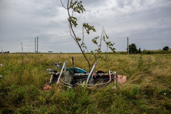 Crash site of Malaysia Airlines flight MH17 near Shaktyorsk