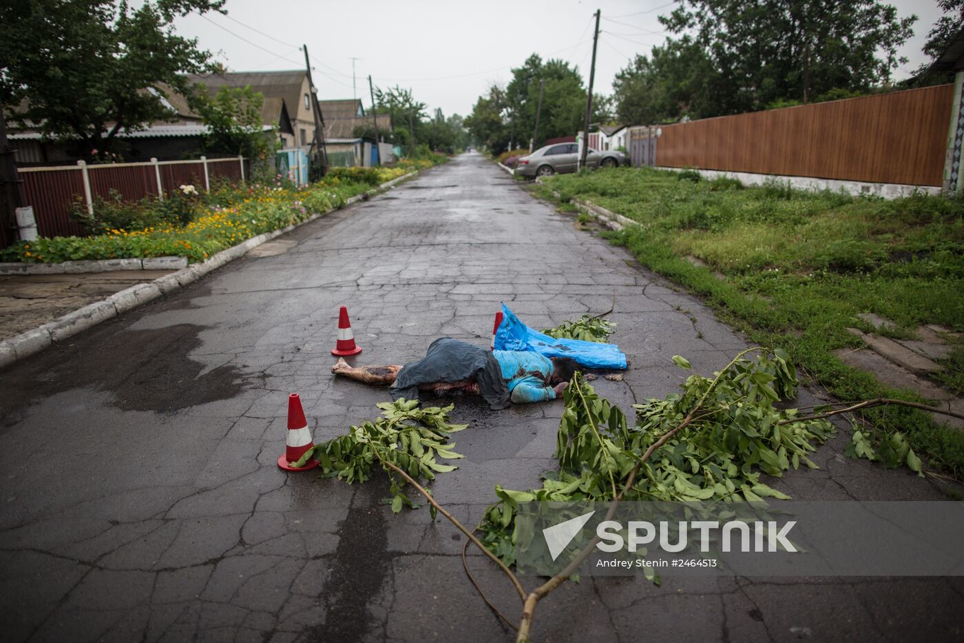 Crash site of Malaysia Airlines flight MH17 near Shaktyorsk