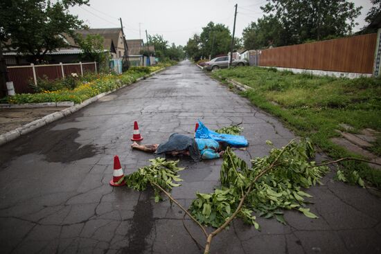 Crash site of Malaysia Airlines flight MH17 near Shaktyorsk