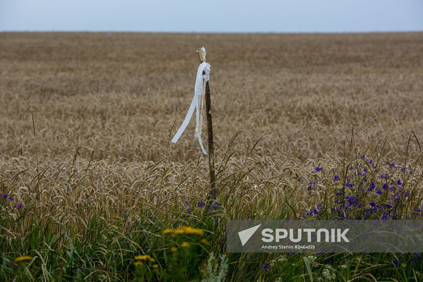 Crash site of Malaysia Airlines flight MH17 near Shaktyorsk