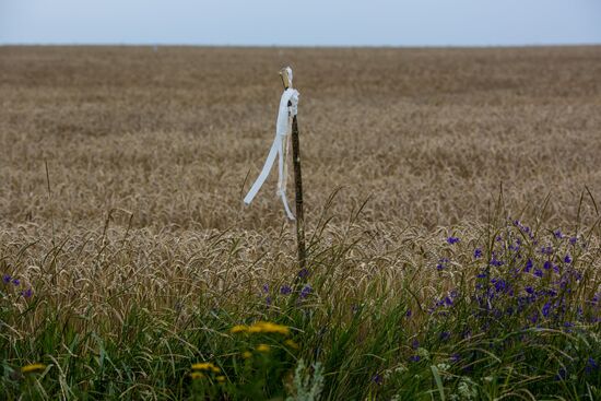Crash site of Malaysia Airlines flight MH17 near Shaktyorsk