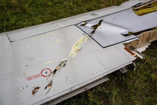 Crash site of Malaysia Airlines flight MH17 near Shaktyorsk