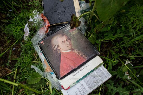 Crash site of Malaysia Airlines flight MH17 near Shaktyorsk