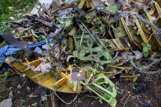 Crash site of Malaysia Airlines flight MH17 near Shaktyorsk
