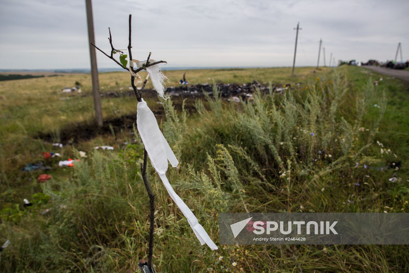 Crash site of Malaysia Airlines flight MH17 near Shaktyorsk