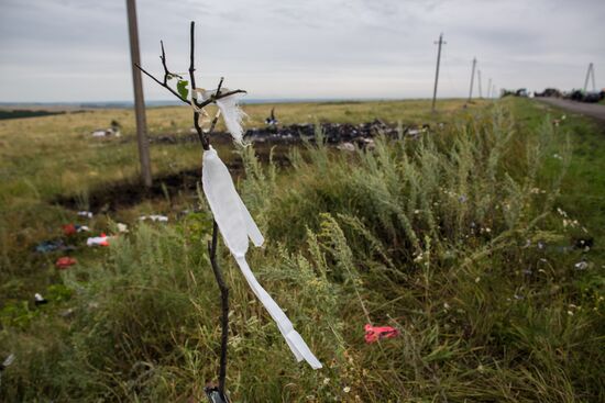 Crash site of Malaysia Airlines flight MH17 near Shaktyorsk