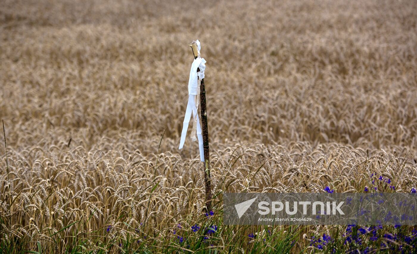 Crash site of Malaysia Airlines flight MH17 near Shaktyorsk