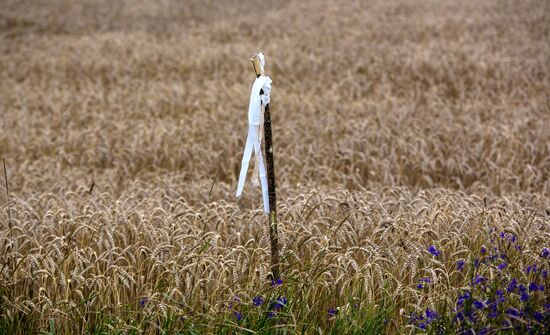 Crash site of Malaysia Airlines flight MH17 near Shaktyorsk