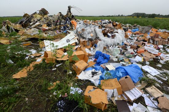 Crash site of Malaysia Airlines flight MH17 near Shaktyorsk