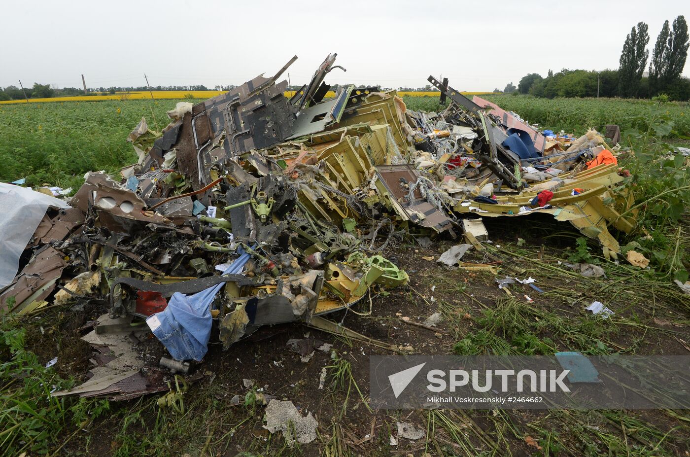 Crash site of Malaysia Airlines flight MH17 near Shaktyorsk