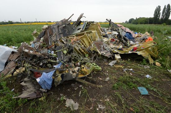 Crash site of Malaysia Airlines flight MH17 near Shaktyorsk