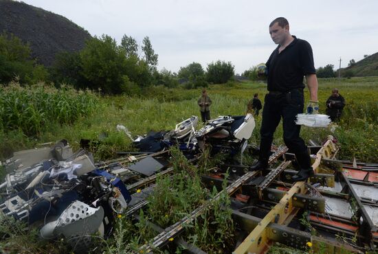 Crash site of Malaysia Airlines flight MH17 near Shaktyorsk