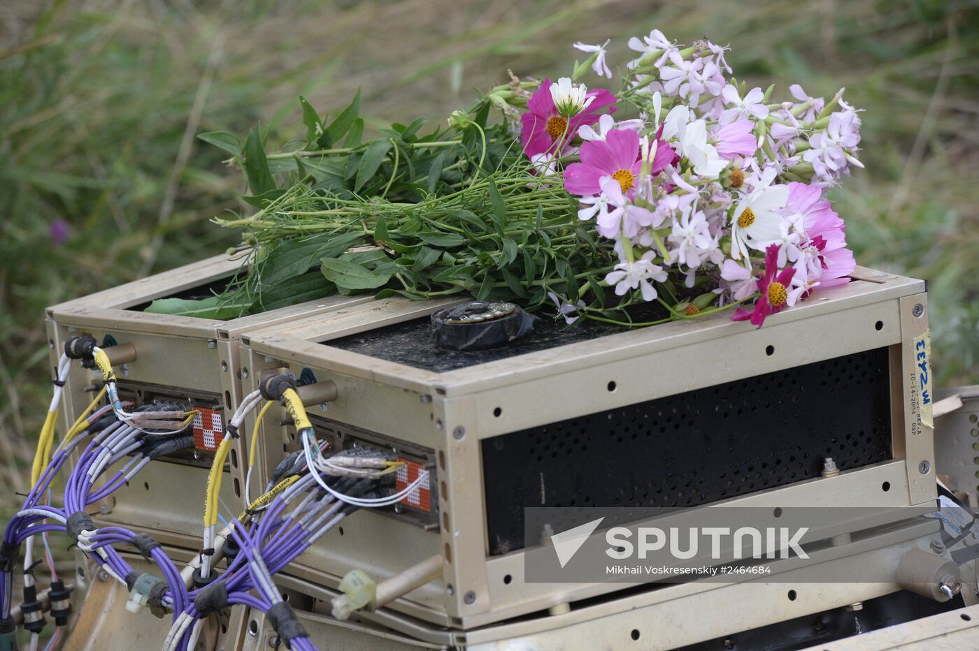 Crash site of Malaysia Airlines flight MH17 near Shaktyorsk