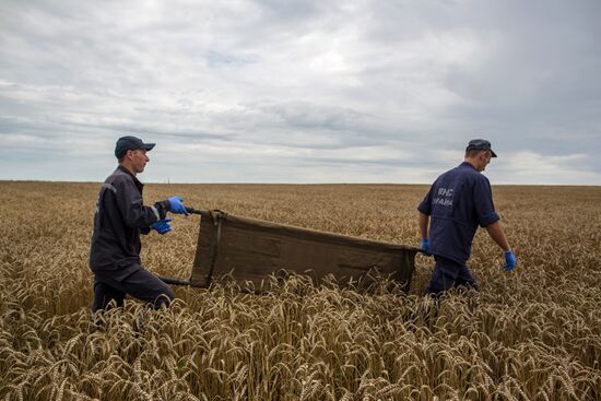 Bodies recovered at Malaysia Airlines Boeing 777 crash site near Shakhtyorsk