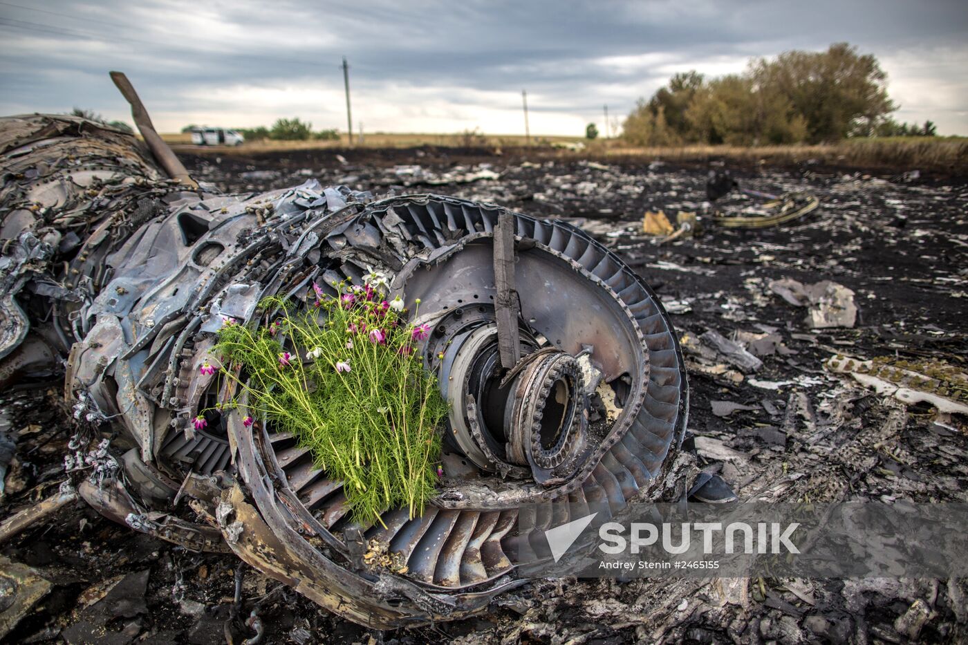 Collecting bodies on Malaysian Boeing 777 crash site near Shakhtyorsk