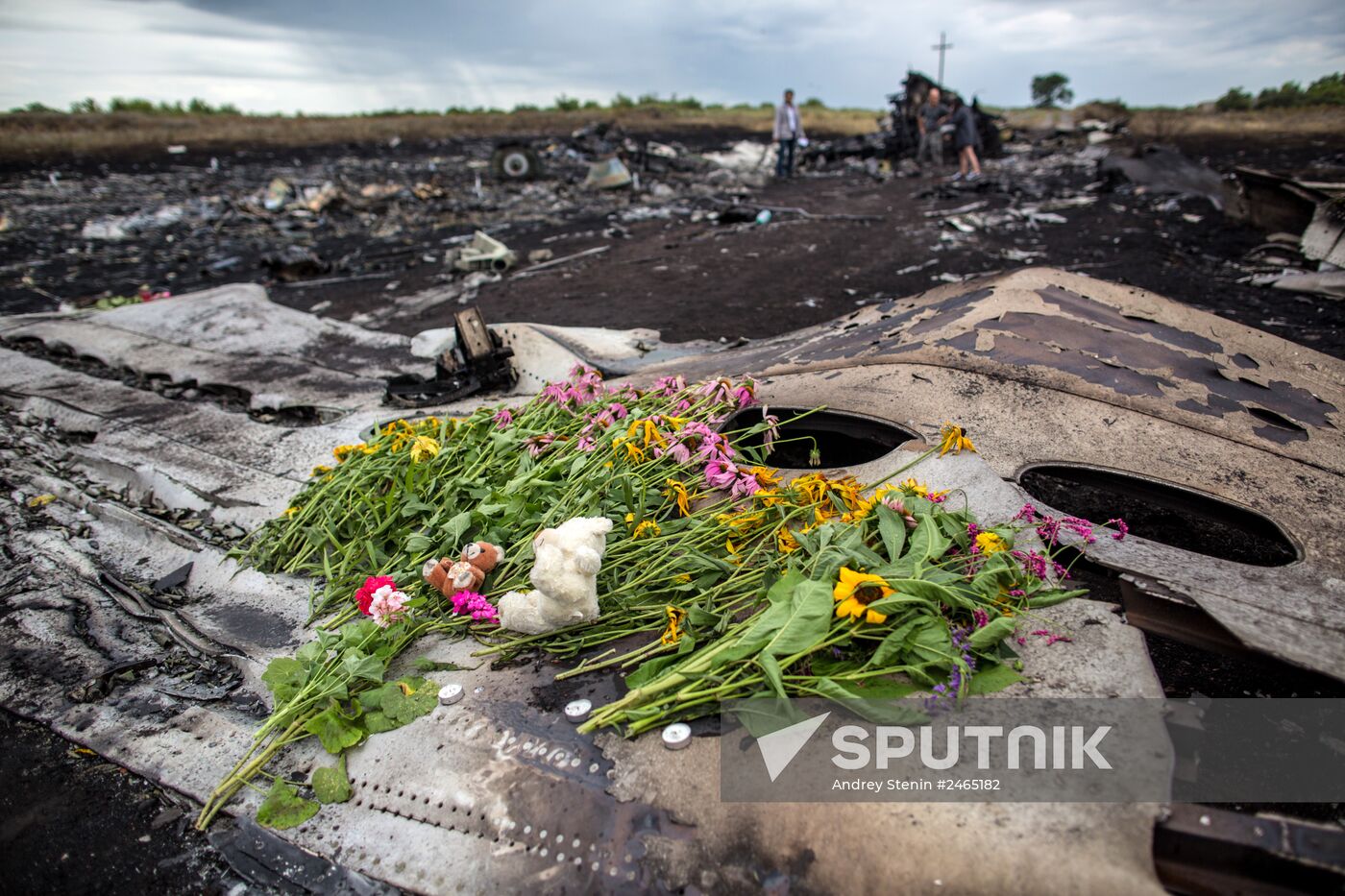 Bodies recovered at Malaysia Airlines Boeing 777 crash site near Shakhtyorsk