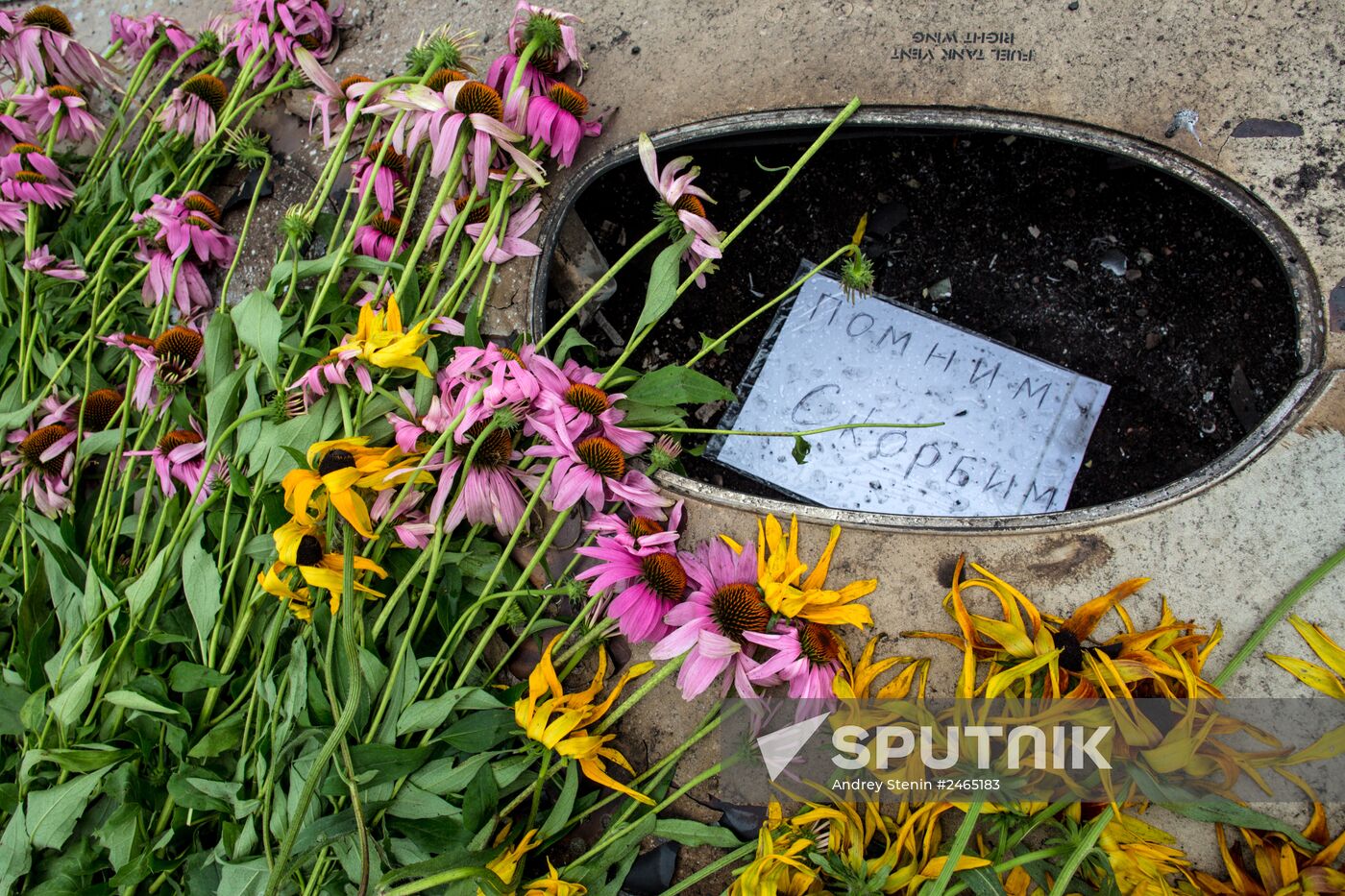 Bodies recovered at Malaysia Airlines Boeing 777 crash site near Shakhtyorsk