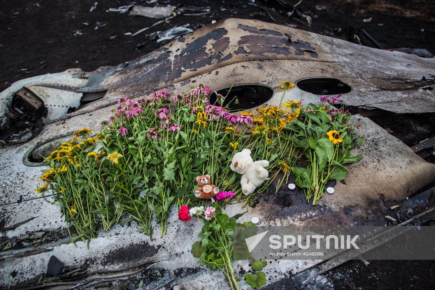 Bodies recovered at Malaysia Airlines Boeing 777 crash site near Shakhtyorsk