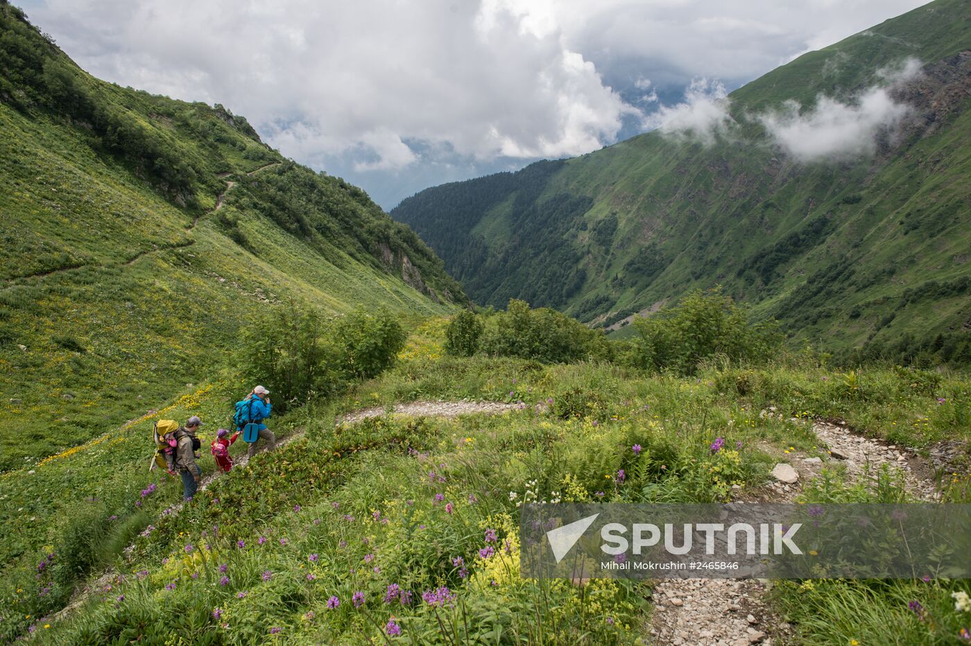 Caucasian State Biosphere Nature Reserve