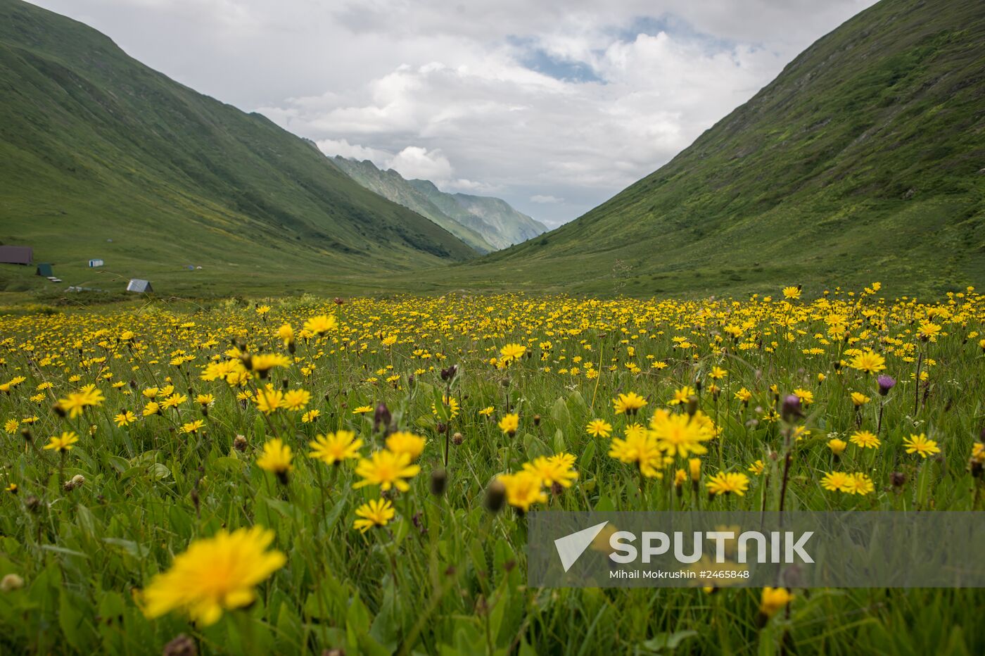 Caucasian State Biosphere Nature Reserve