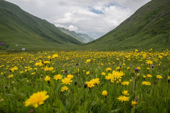 Caucasian State Biosphere Nature Reserve
