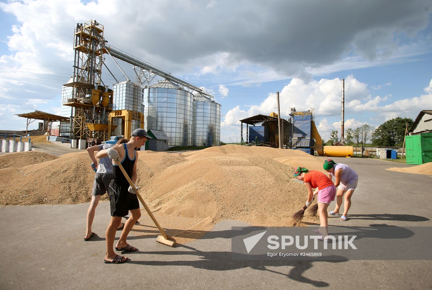 Harvesting grain crops in Belarus