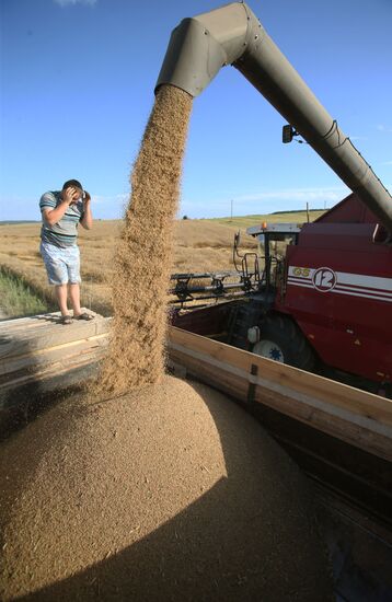 Harvesting grain crops in Belarus