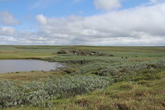 Crater of unknown origin discovered on Yamal