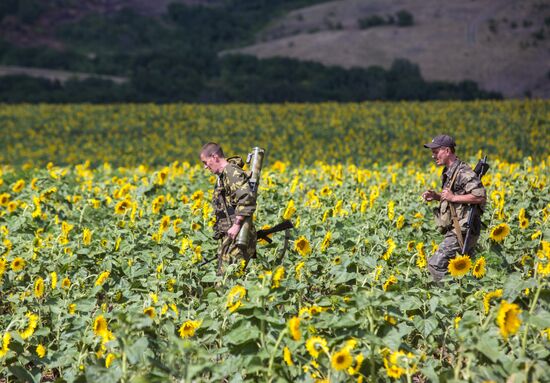 Donetsk Region update