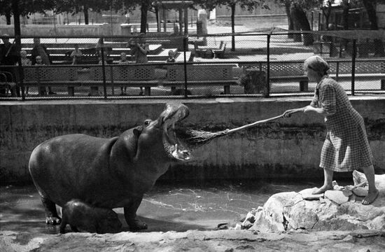 Moscow Zoo