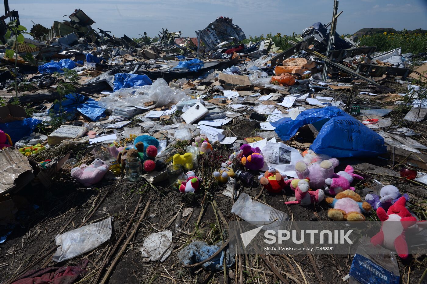 OSCE employees and experts work at Malaysia Airlines Boeing 777 crash site