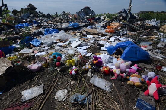 OSCE employees and experts work at Malaysia Airlines Boeing 777 crash site