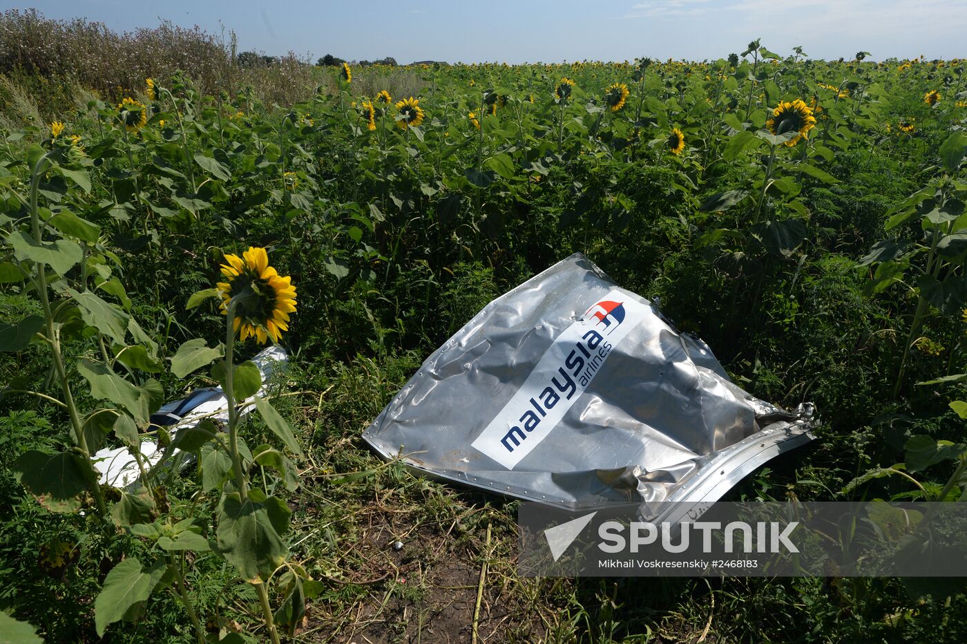 OSCE employees and experts work at Malaysia Airlines Boeing 777 crash site