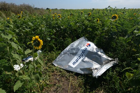 OSCE employees and experts work at Malaysia Airlines Boeing 777 crash site