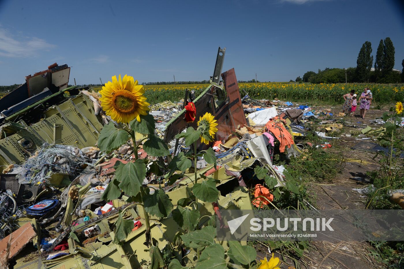 OSCE employees and experts work at Malaysia Airlines Boeing 777 crash site