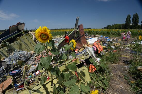 OSCE employees and experts work at Malaysia Airlines Boeing 777 crash site