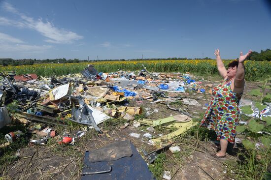 OSCE employees and experts work at Malaysia Airlines Boeing 777 crash site