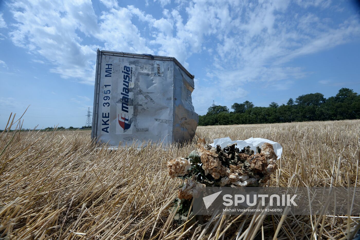 OSCE employees and experts work at Malaysia Airlines Boeing 777 crash site