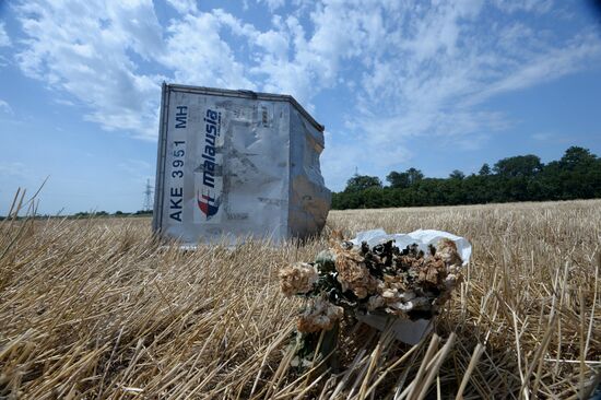 OSCE employees and experts work at Malaysia Airlines Boeing 777 crash site