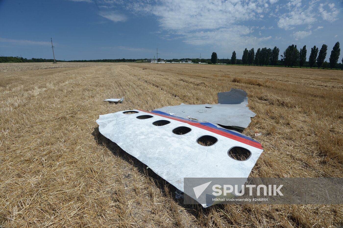 OSCE employees and experts work at Malaysia Airlines Boeing 777 crash site