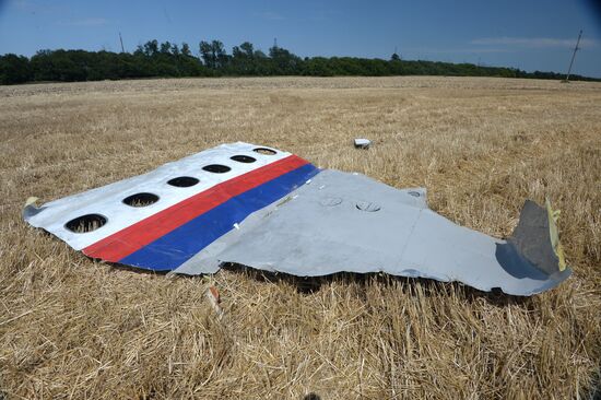 OSCE employees and experts work at Malaysia Airlines Boeing 777 crash site