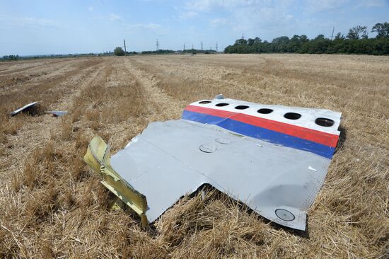 OSCE employees and experts work at Malaysia Airlines Boeing 777 crash site