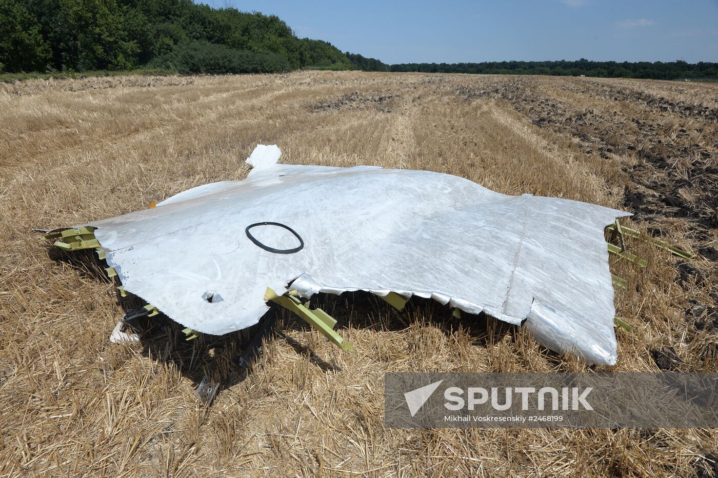 OSCE employees and experts work at Malaysia Airlines Boeing 777 crash site